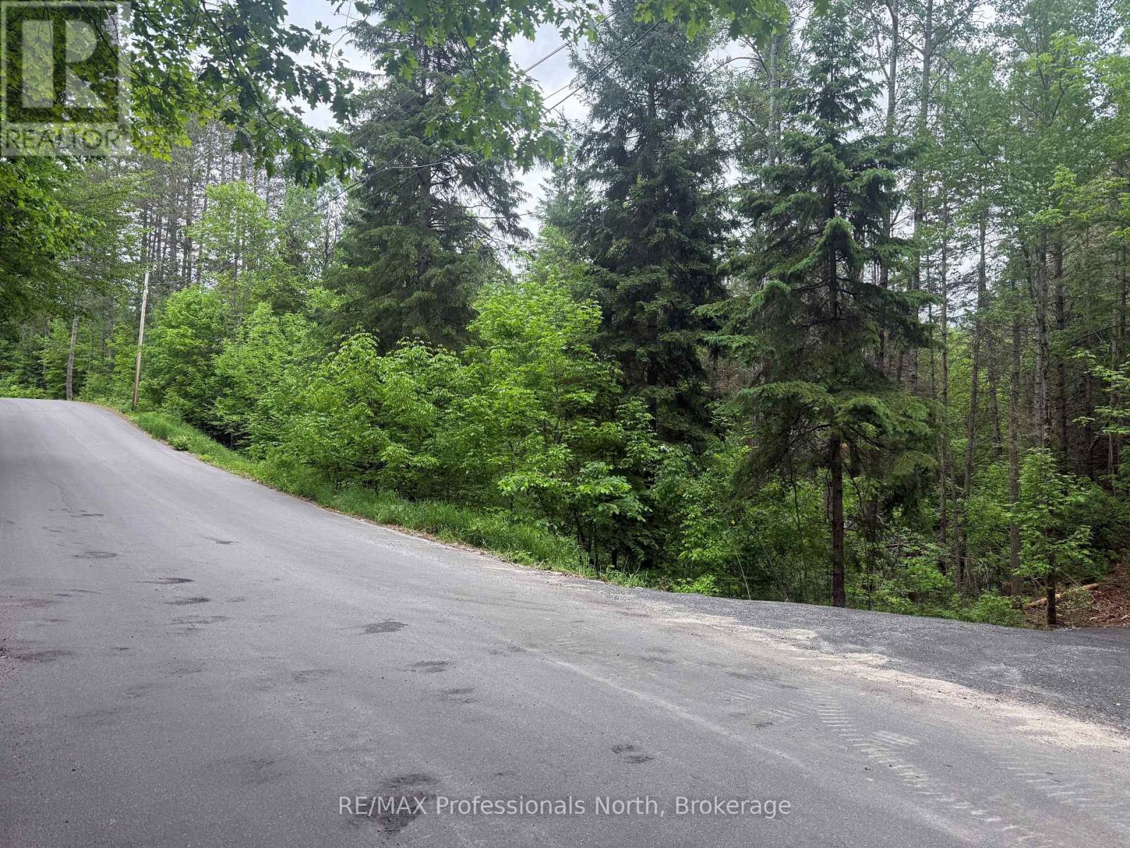 1313 Williamsport Road N, Huntsville, Ontario  P1H 2J4 - Photo 1 - X13442036