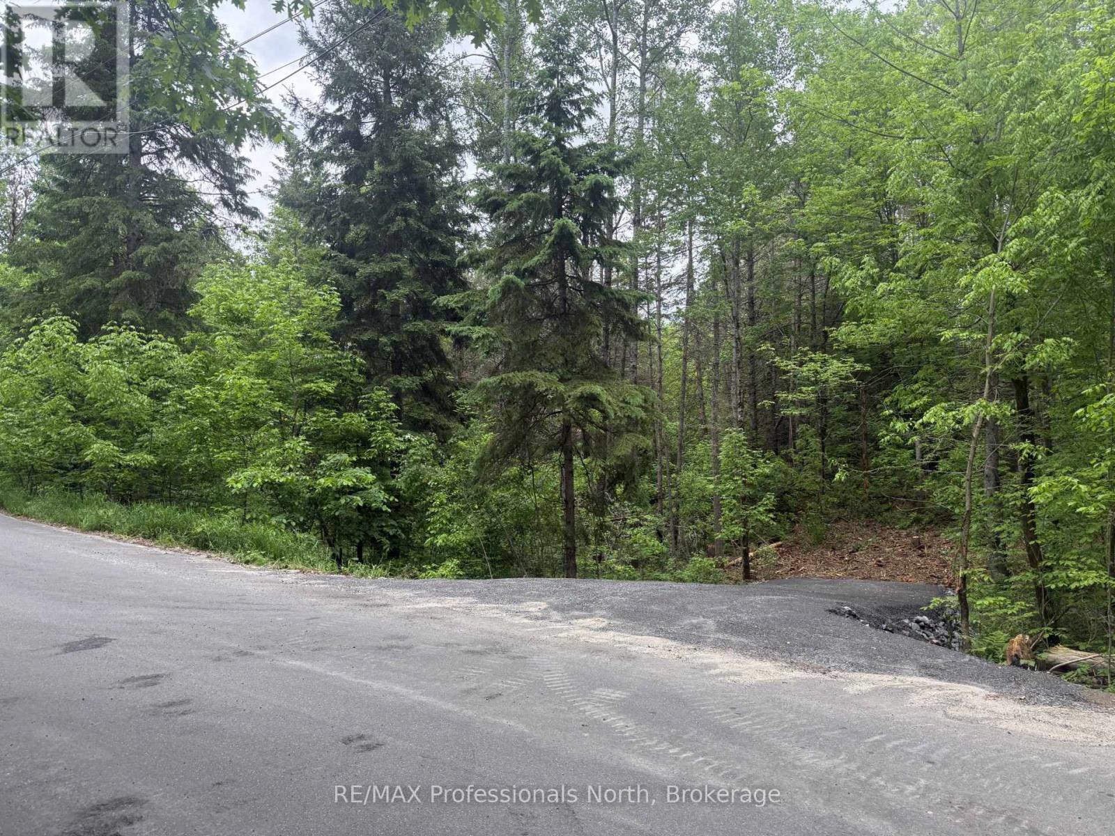 1313 Williamsport Road N, Huntsville, Ontario  P1H 2J4 - Photo 6 - X13442036