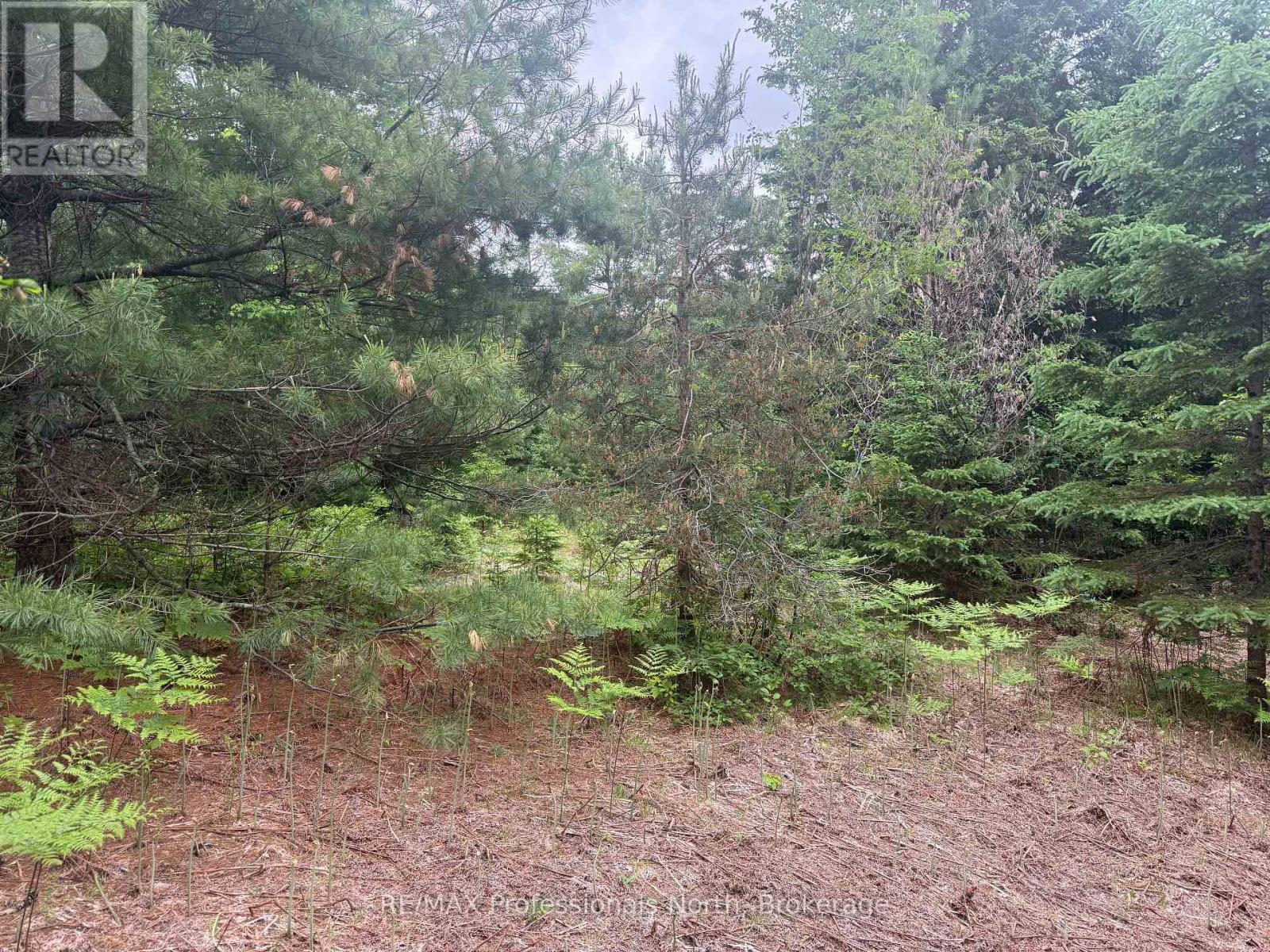 1313 Williamsport Road N, Huntsville, Ontario  P1H 2J4 - Photo 7 - X13442036