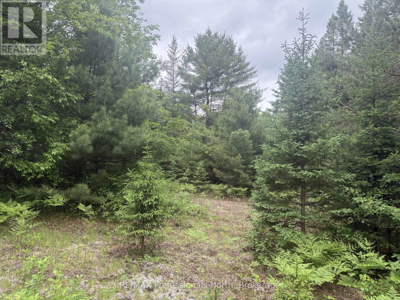 1313 Williamsport Road N, Huntsville, Ontario  P1H 2J4 - Photo 8 - X13442036