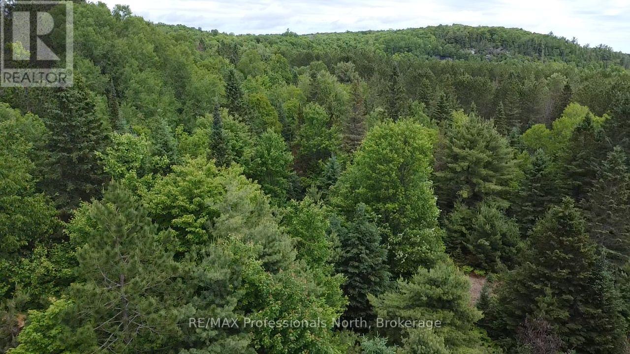 1325 Williamsport Road N, Huntsville, Ontario  P1H 2J4 - Photo 11 - X13442038