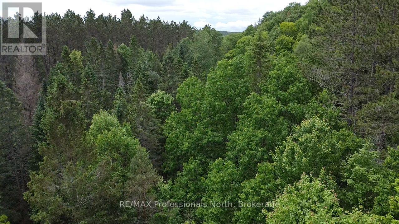 1325 Williamsport Road N, Huntsville, Ontario  P1H 2J4 - Photo 13 - X13442038
