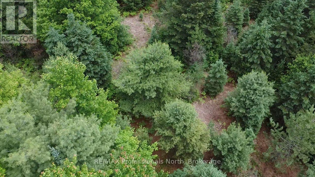 1325 Williamsport Road N, Huntsville, Ontario  P1H 2J4 - Photo 15 - X13442038