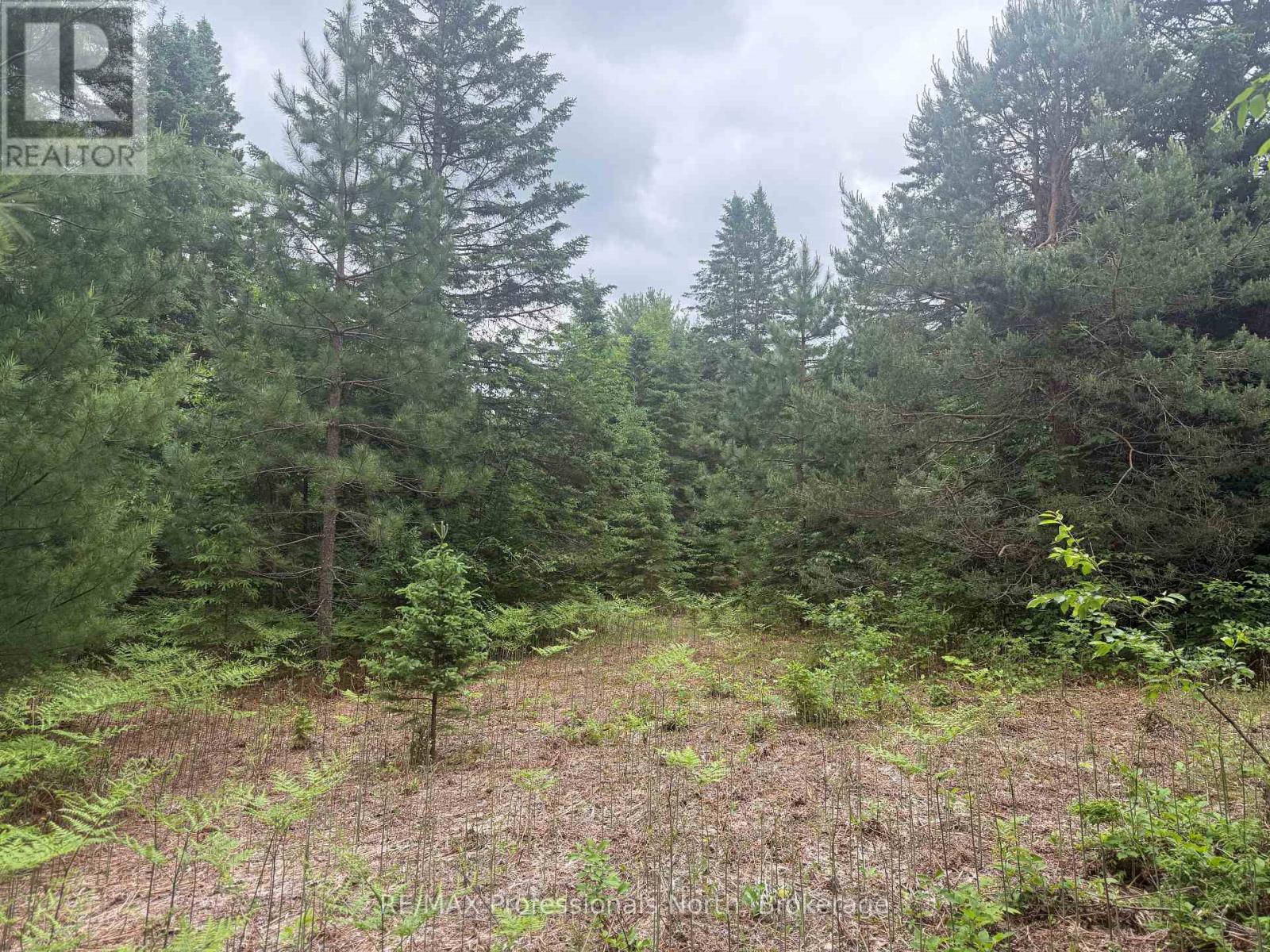 1325 Williamsport Road N, Huntsville, Ontario  P1H 2J4 - Photo 5 - X13442038