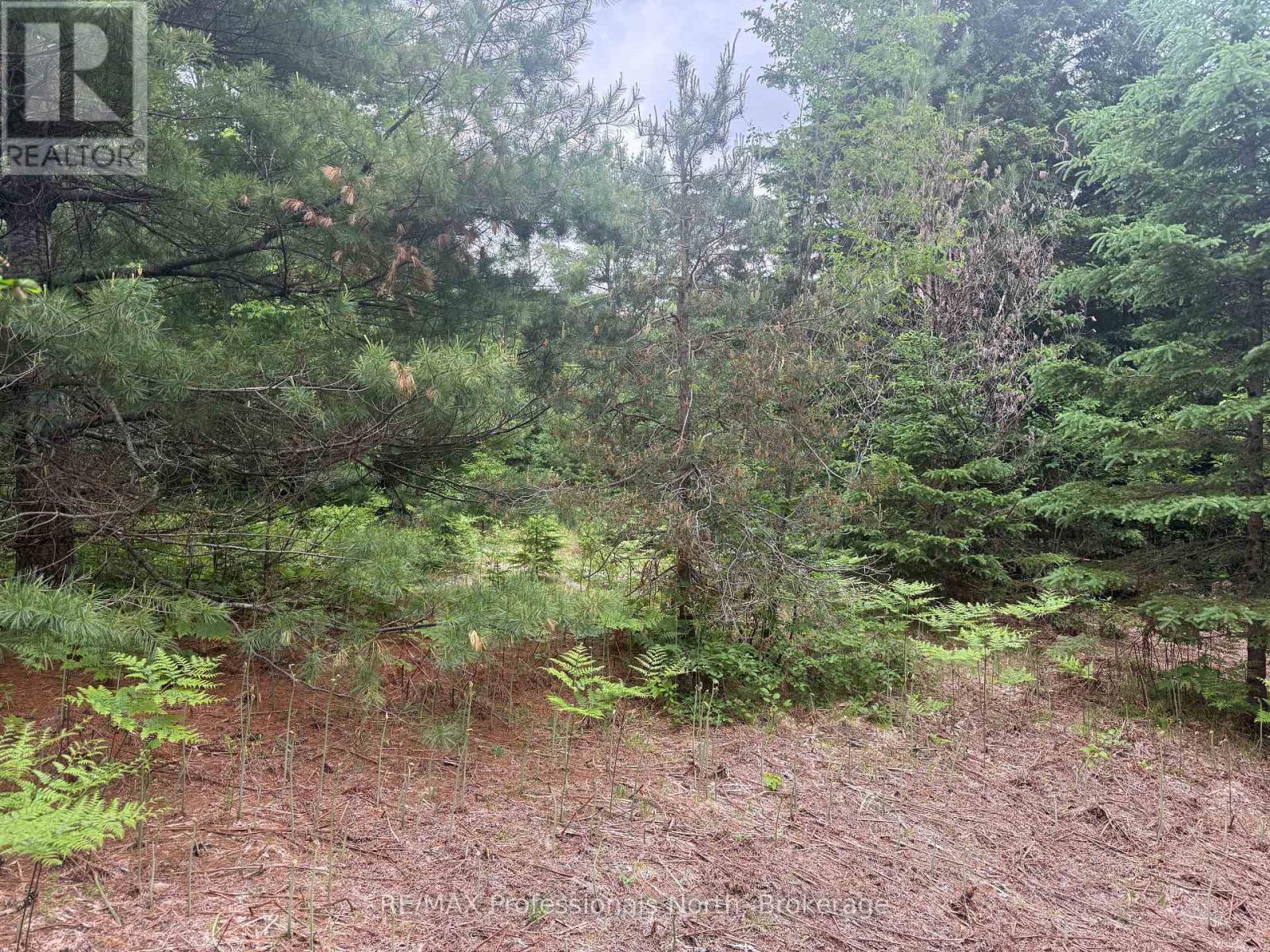 1333 Williamsport Road N, Huntsville, Ontario  P1H 2J4 - Photo 10 - X13442116