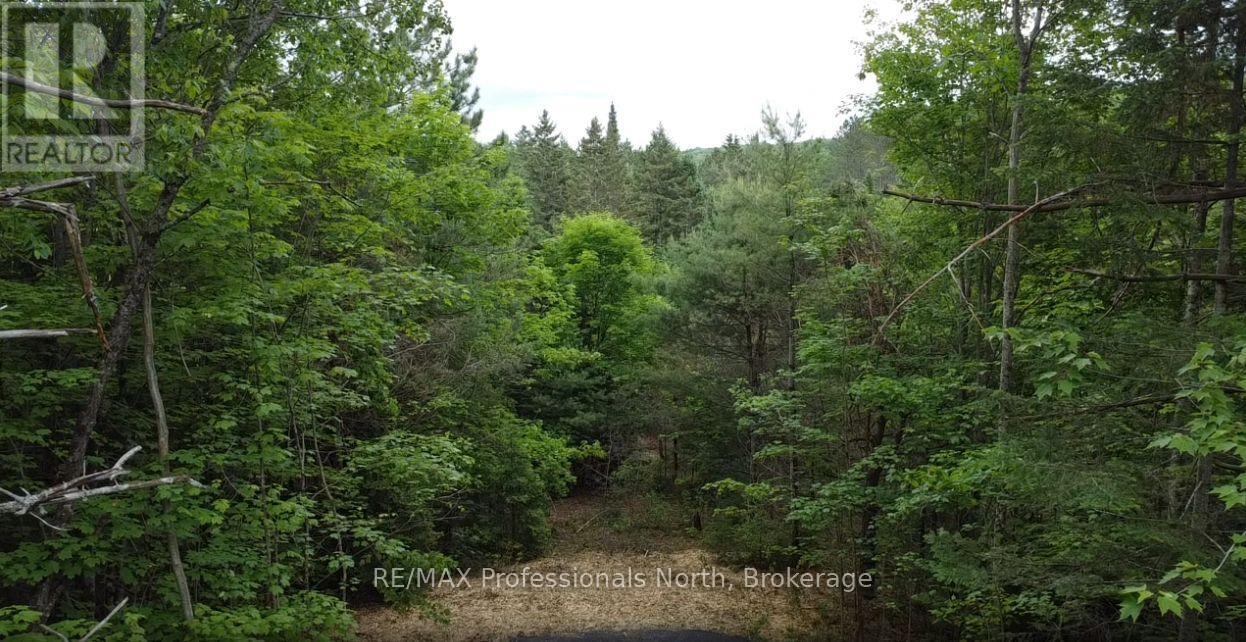1333 Williamsport Road N, Huntsville, Ontario  P1H 2J4 - Photo 2 - X13442116