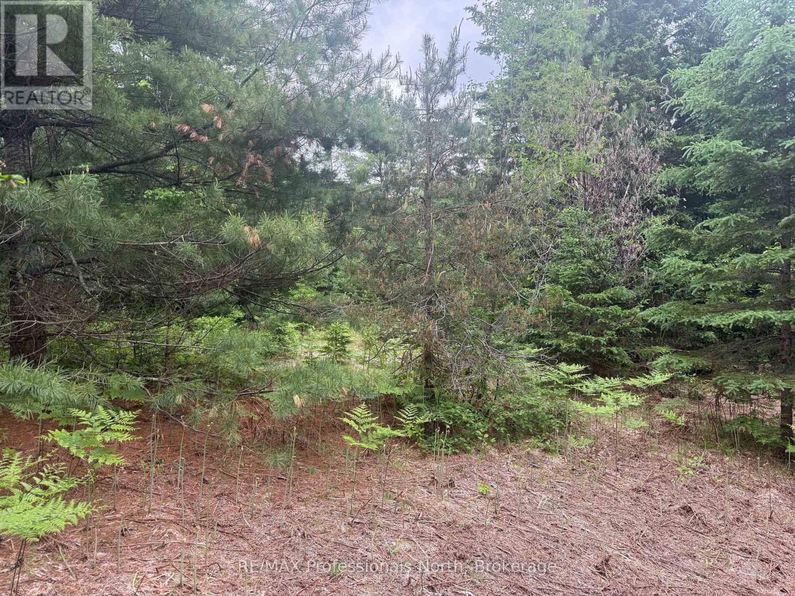 1333 Williamsport Road N, Huntsville, Ontario  P1H 2J4 - Photo 3 - X13442116