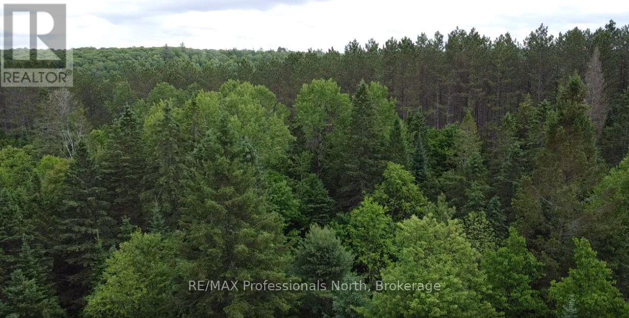 1333 Williamsport Road N, Huntsville, Ontario  P1H 2J4 - Photo 6 - X13442116