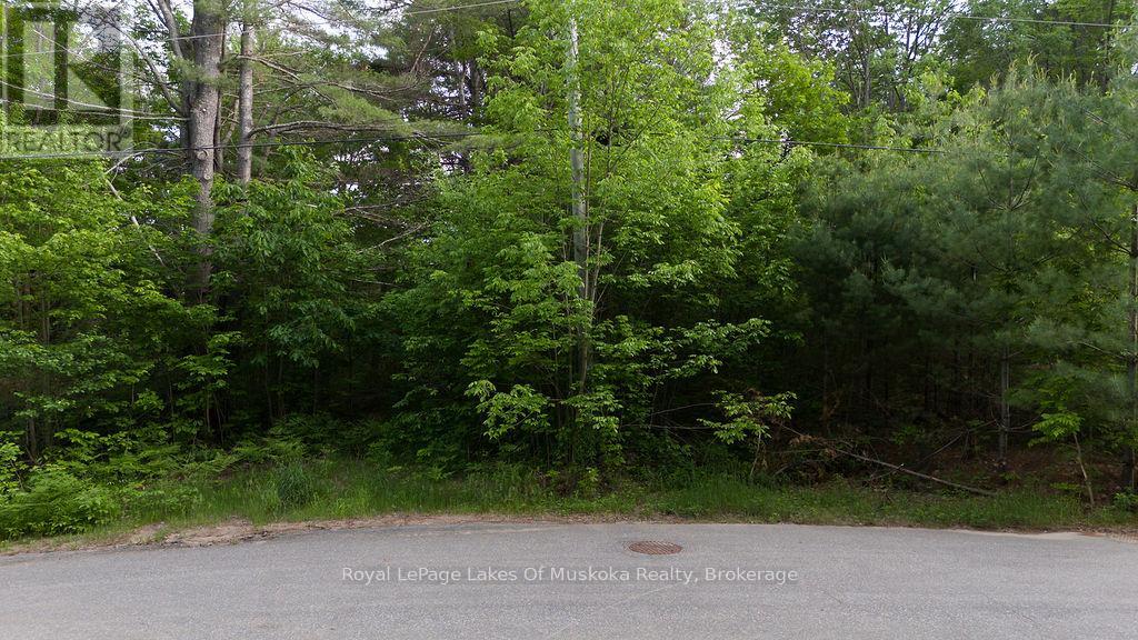 0 Spruce Street, Lake Of Bays, Ontario P0B 1A0 - Photo 10 - X13442264