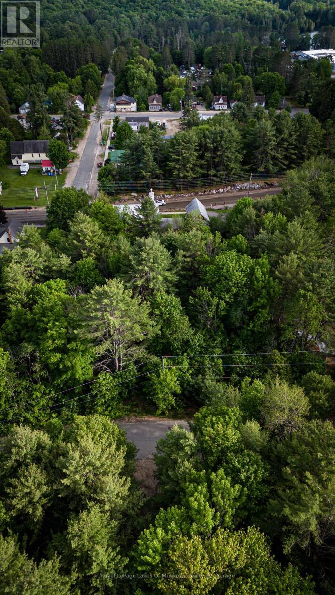 0 Spruce Street, Lake Of Bays, Ontario P0B 1A0 - Photo 7 - X13442264