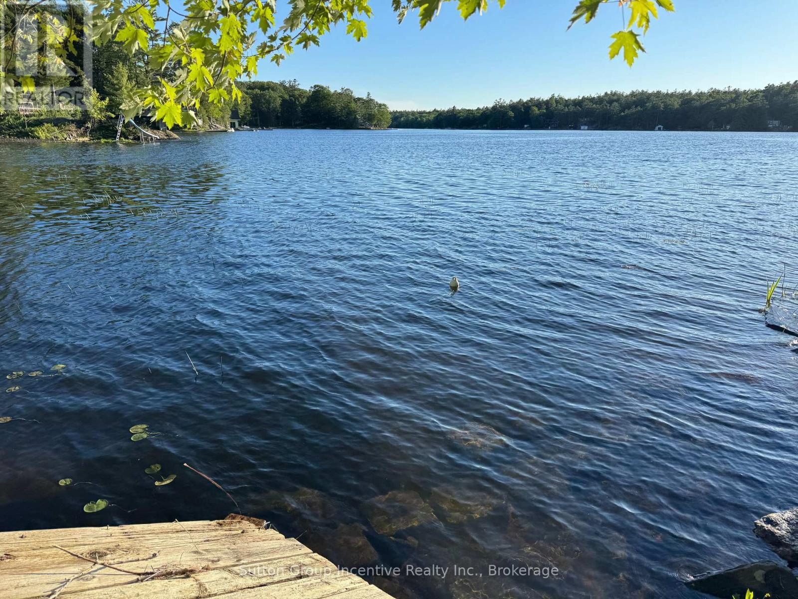 1017 Goldfinch Court, Gravenhurst, Ontario  P0E 1G0 - Photo 26 - X13443636