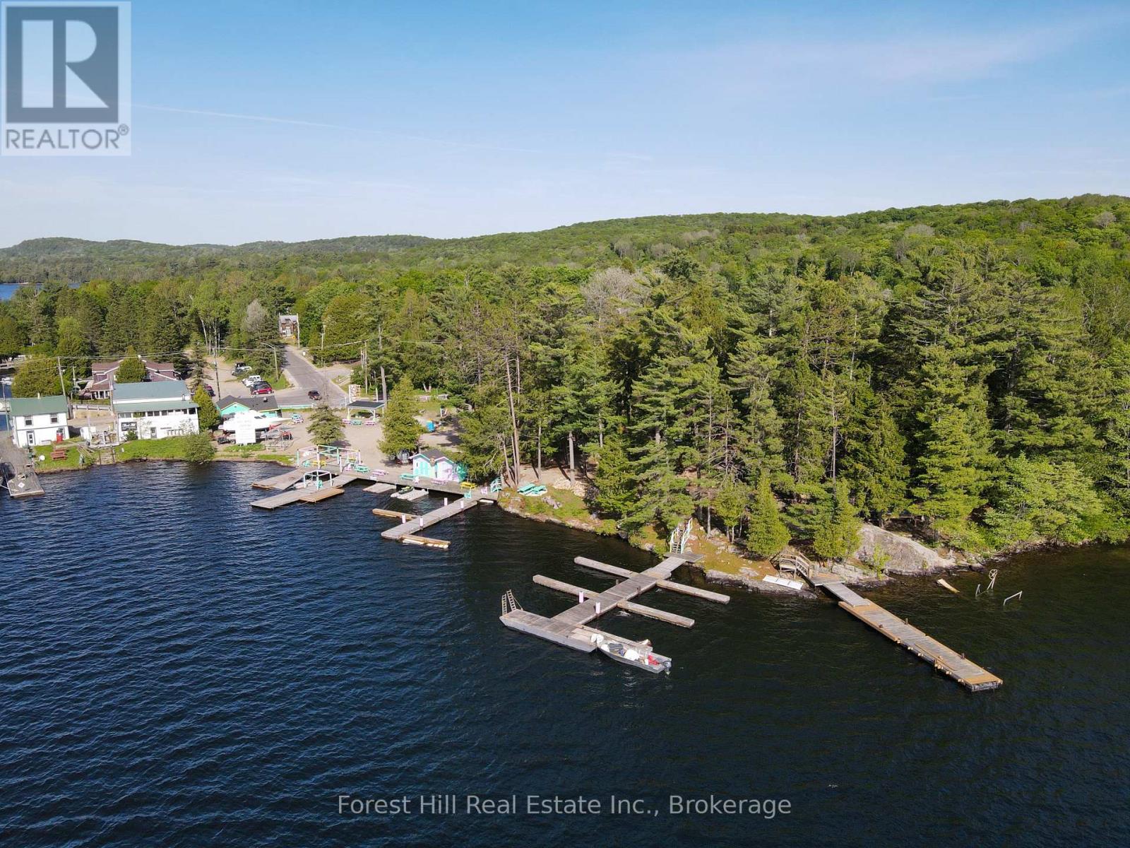 1092 Main Street, Lake Of Bays, Ontario  P0B 1A0 - Photo 2 - X13444468
