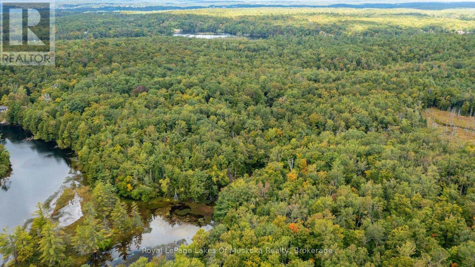 0 Muskoka River, Bracebridge, Ontario  P1L 0K3 - Photo 11 - X13444552