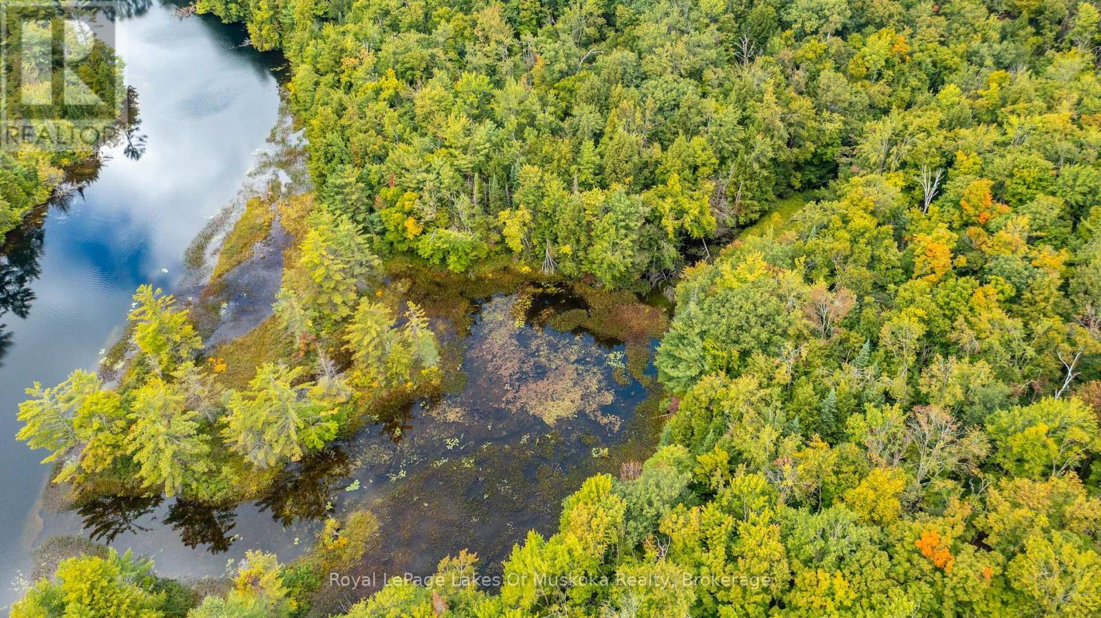 0 Muskoka River, Bracebridge, Ontario  P1L 0K3 - Photo 12 - X13444552