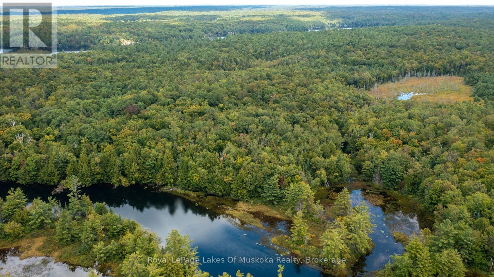 0 Muskoka River, Bracebridge, Ontario  P1L 0K3 - Photo 3 - X13444552