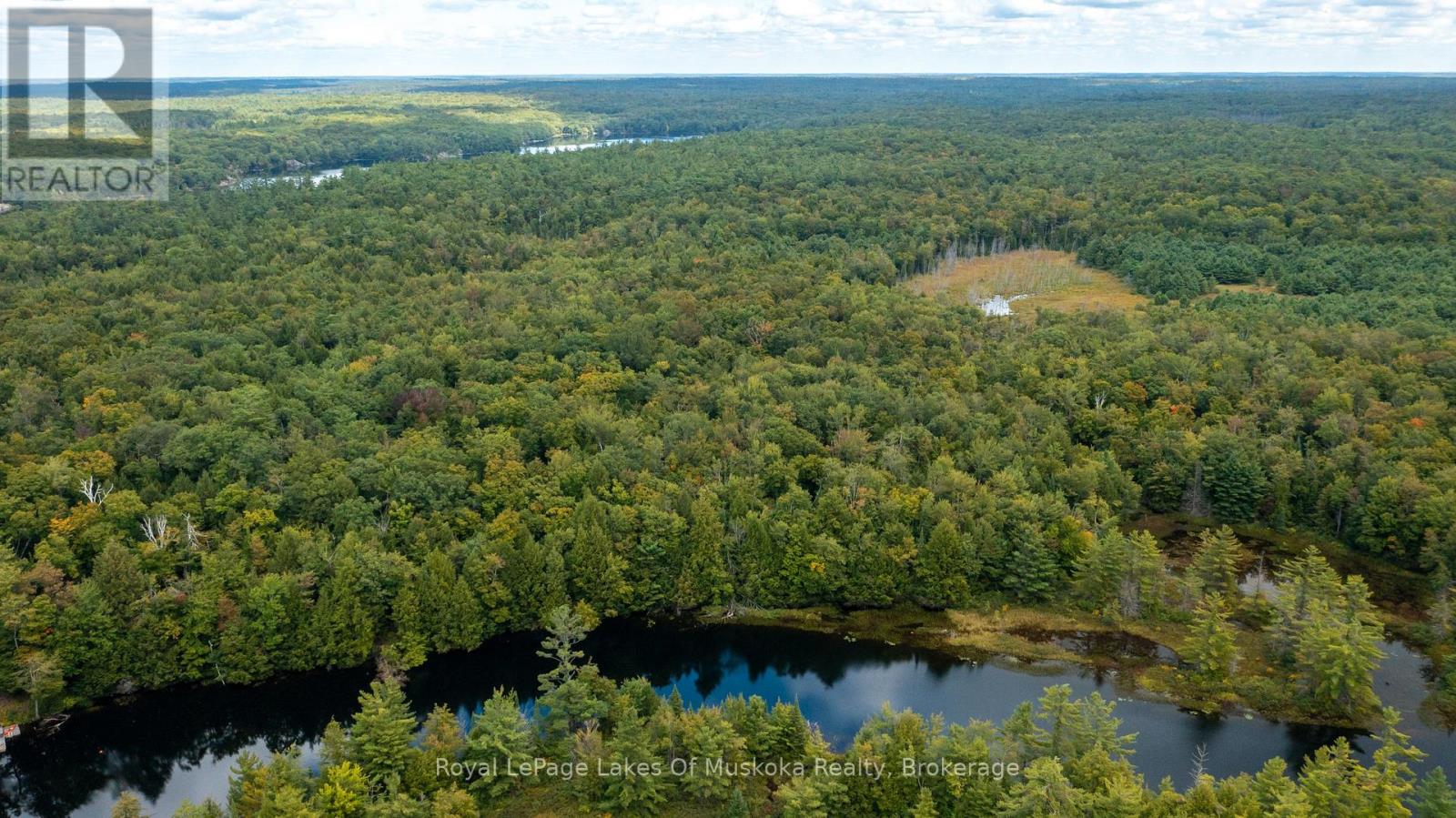 0 Muskoka River, Bracebridge, Ontario  P1L 0K3 - Photo 4 - X13444552