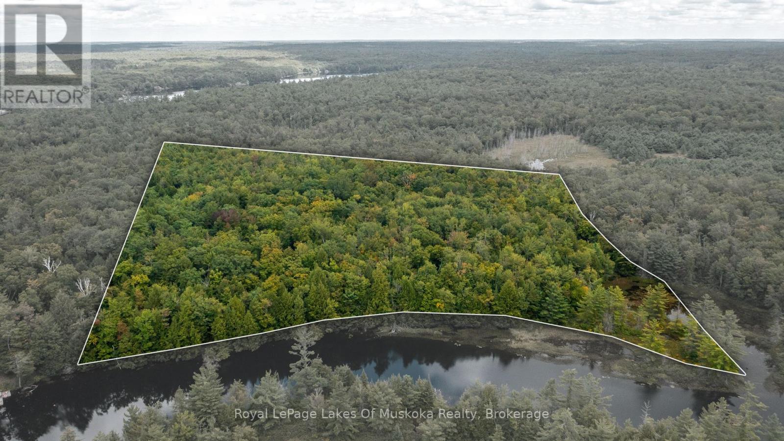 0 Muskoka River, Bracebridge, Ontario  P1L 0K3 - Photo 5 - X13444552