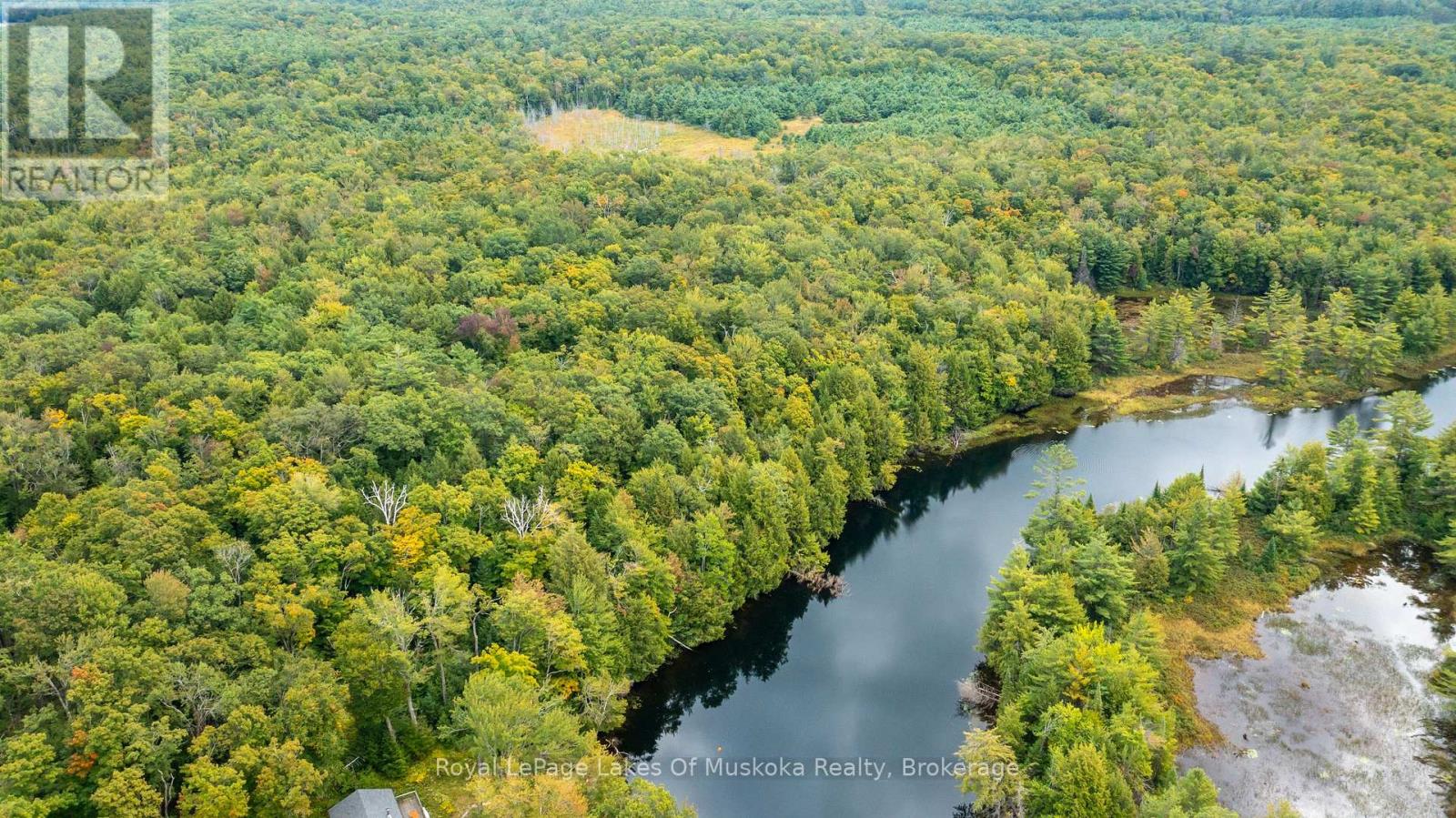 0 Muskoka River, Bracebridge, Ontario  P1L 0K3 - Photo 6 - X13444552