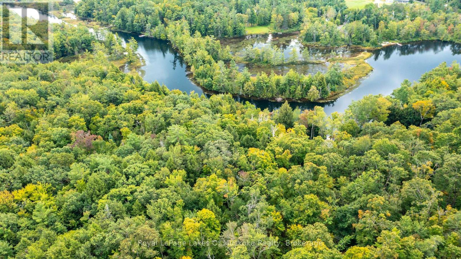 0 Muskoka River, Bracebridge, Ontario  P1L 0K3 - Photo 8 - X13444552
