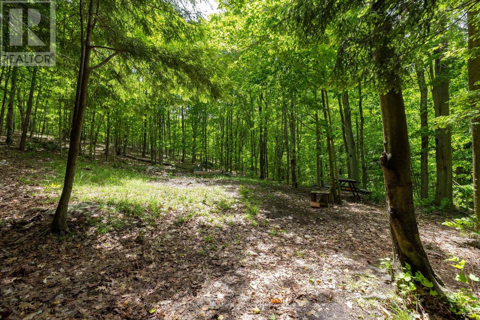 1037 Foreman Road, Muskoka Lakes, Ontario P0B 1J0 - Photo 36 - X13445972