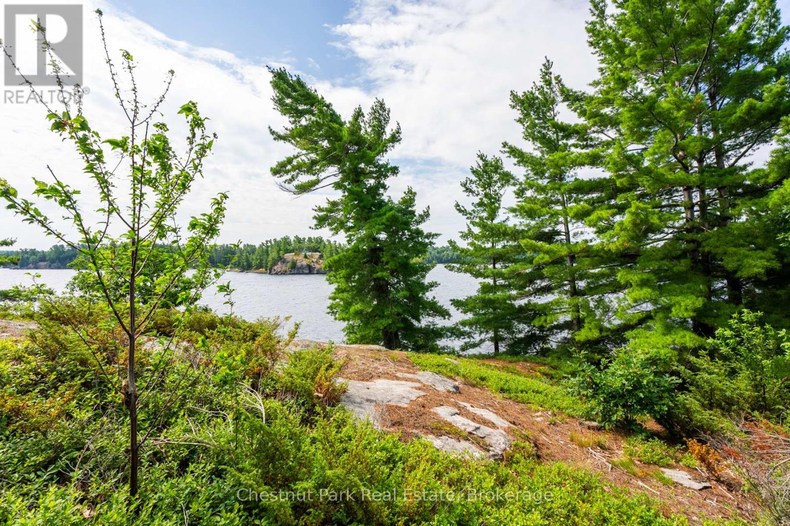 1 Helena Island, Gravenhurst, Ontario P1P 1R1 - Photo 22 - X13449104