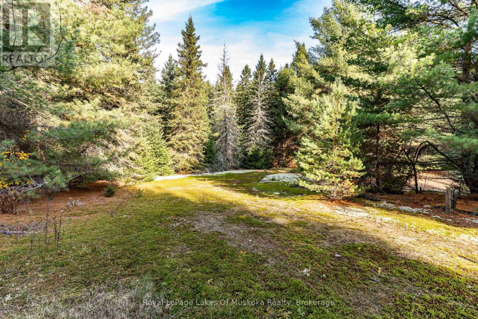 267 & 321 Cardwell Lake Road, Huntsville, Ontario P0B 1M0 - Photo 15 - X13450920
