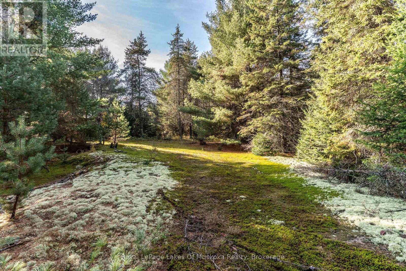 267 & 321 Cardwell Lake Road, Huntsville, Ontario P0B 1M0 - Photo 16 - X13450920