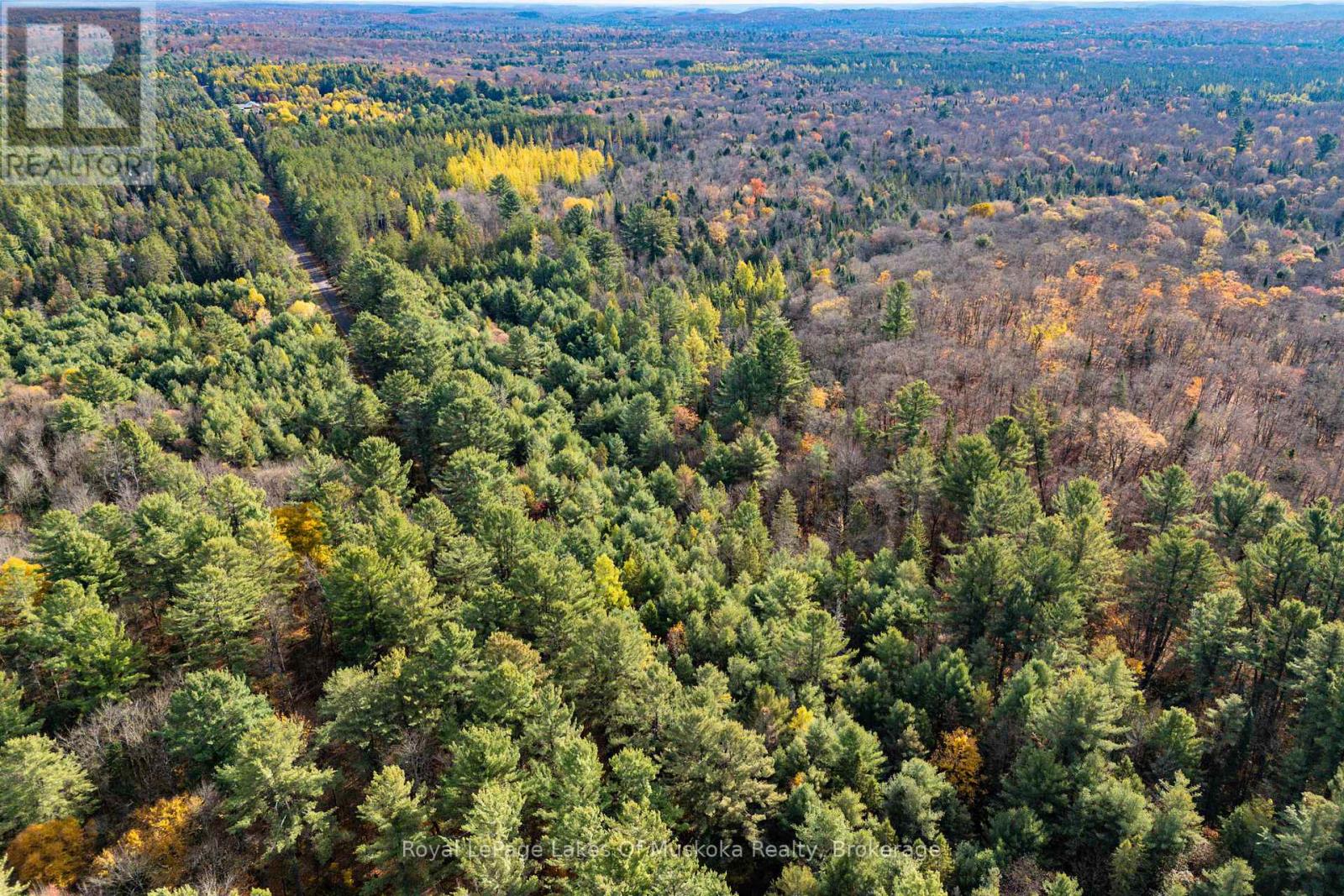 267 & 321 Cardwell Lake Road, Huntsville, Ontario P0B 1M0 - Photo 4 - X13450920