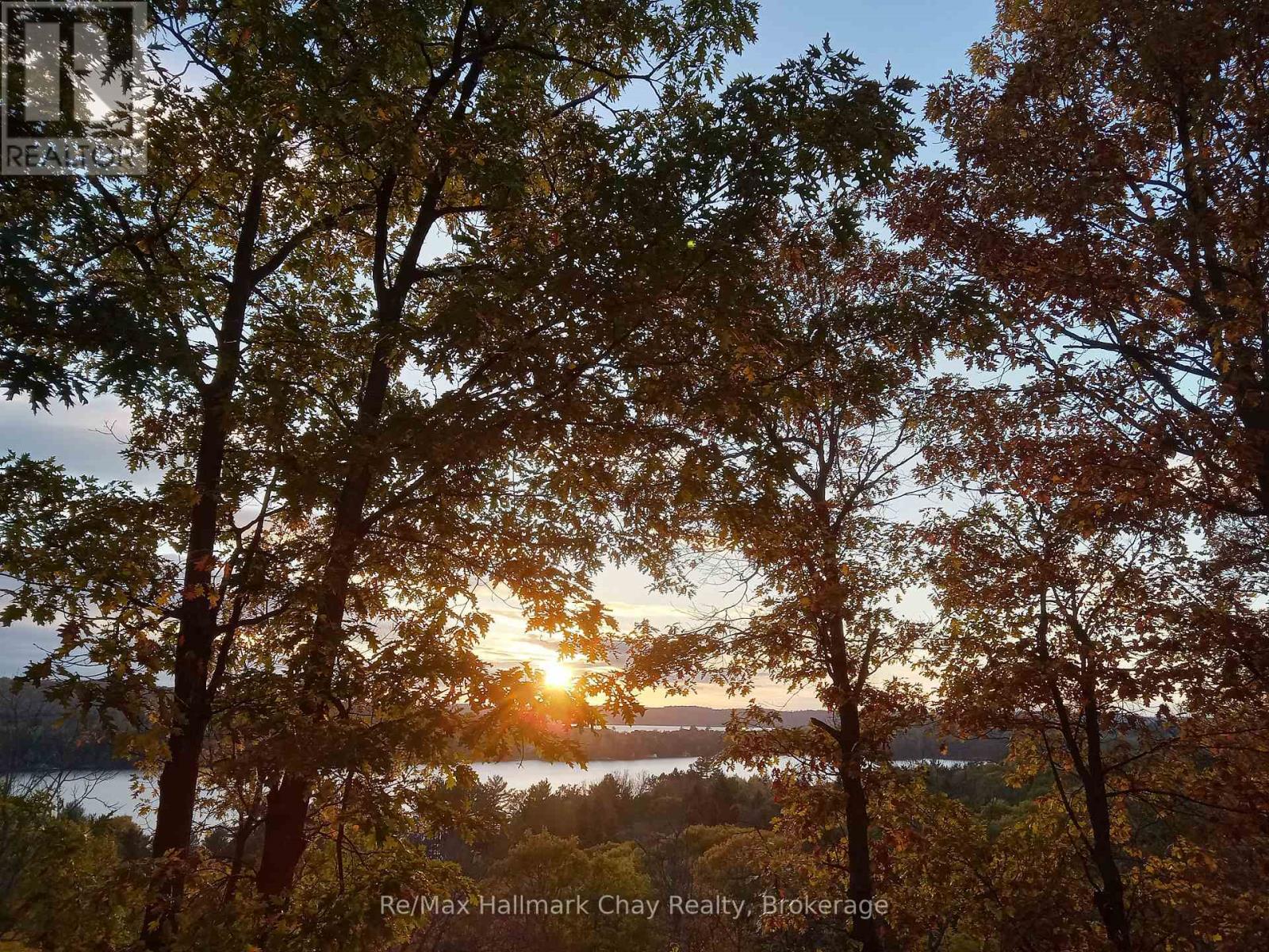 1497 Fox Point Road, Lake Of Bays, Ontario P0A 1H0 - Photo 3 - X13459608
