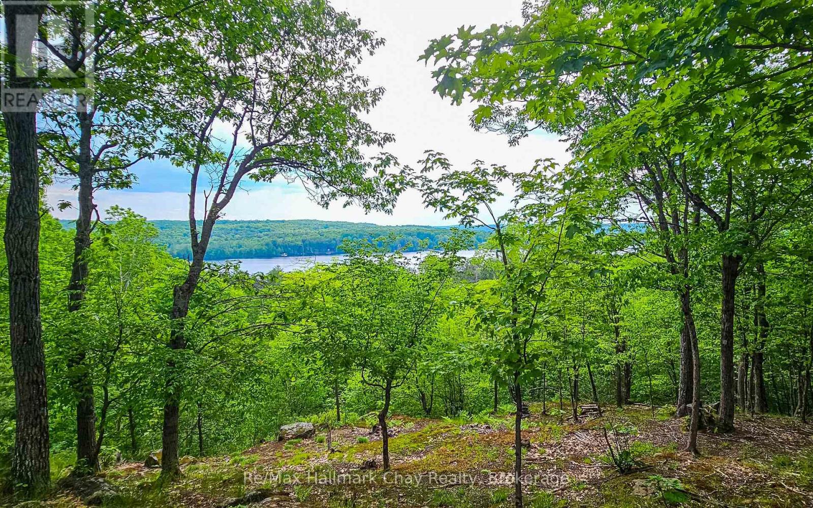 1497 Fox Point Road, Lake Of Bays, Ontario P0A 1H0 - Photo 35 - X13459608