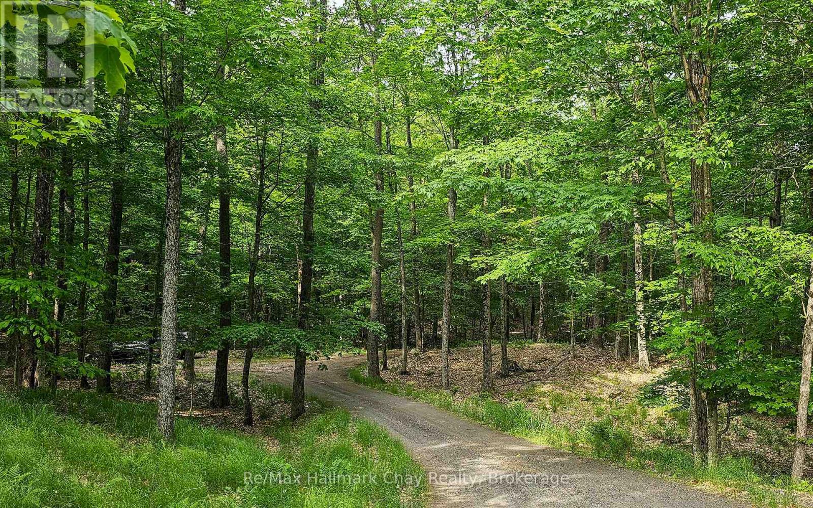 1497 Fox Point Road, Lake Of Bays, Ontario P0A 1H0 - Photo 36 - X13459608