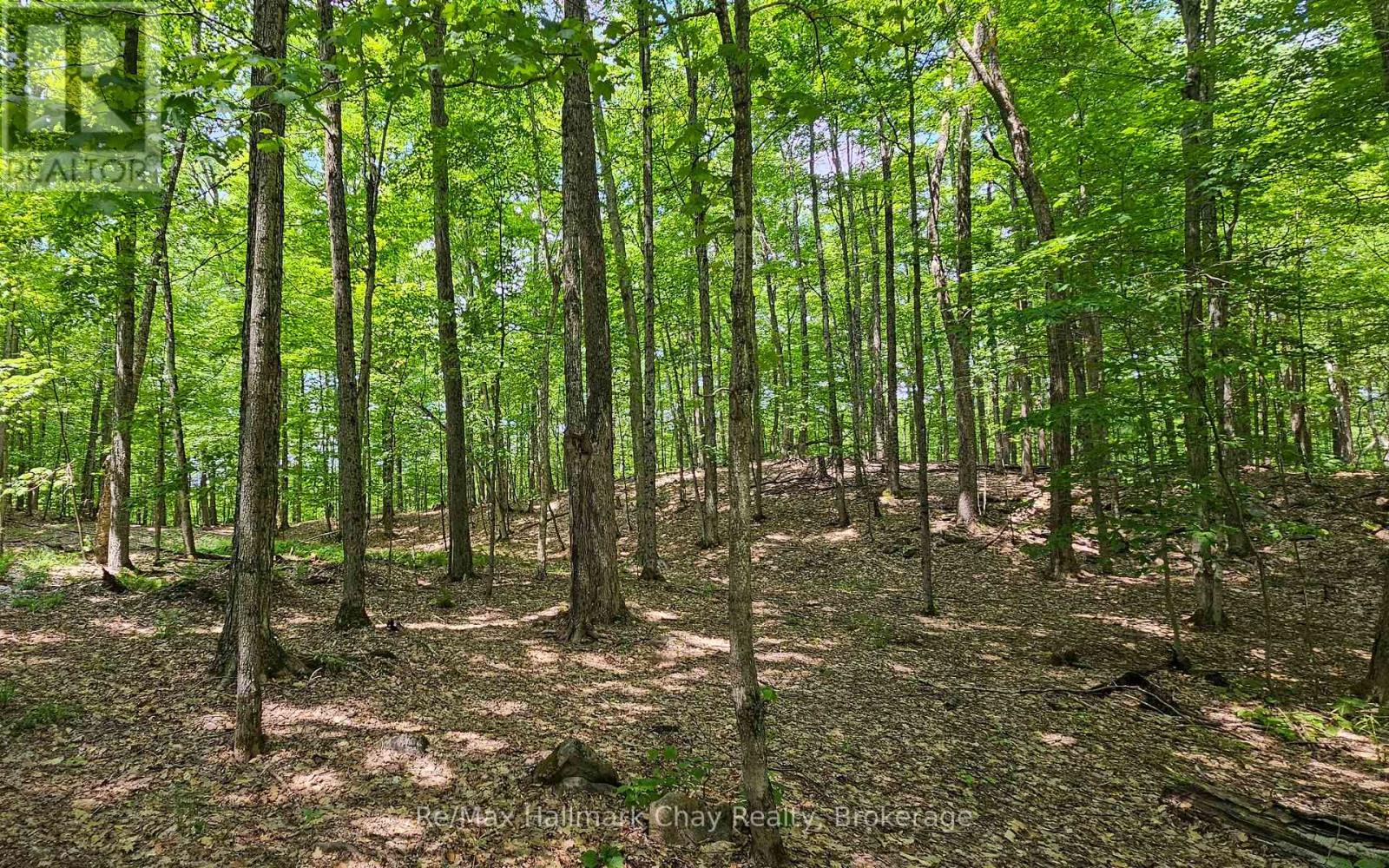 1497 Fox Point Road, Lake Of Bays, Ontario P0A 1H0 - Photo 38 - X13459608