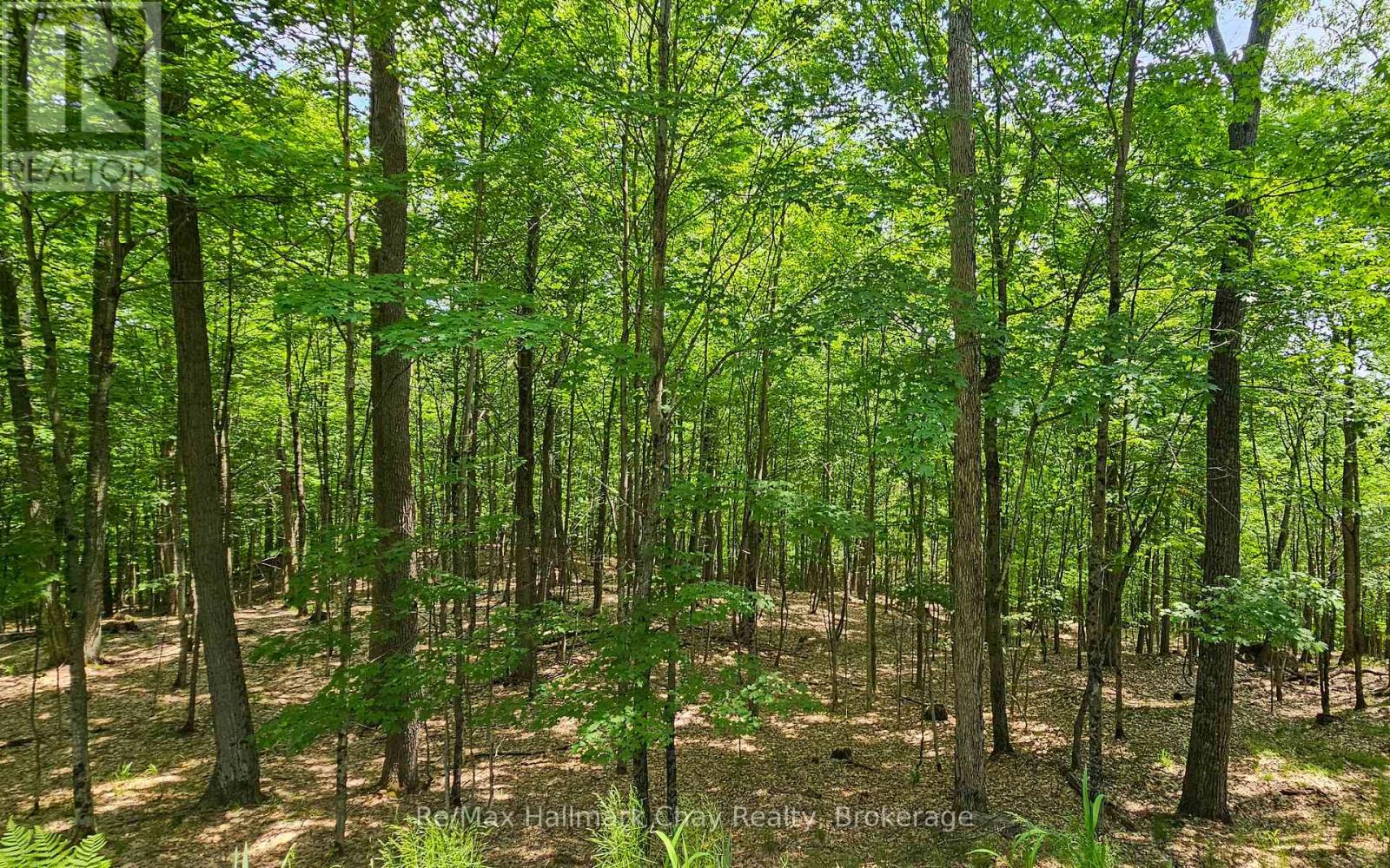 1497 Fox Point Road, Lake Of Bays, Ontario P0A 1H0 - Photo 39 - X13459608
