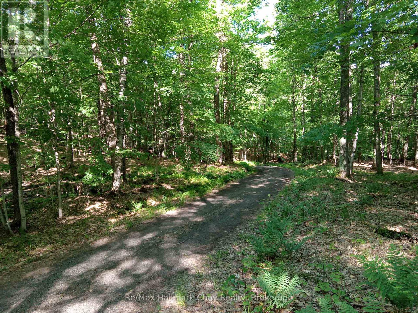 1497 Fox Point Road, Lake Of Bays, Ontario P0A 1H0 - Photo 43 - X13459608