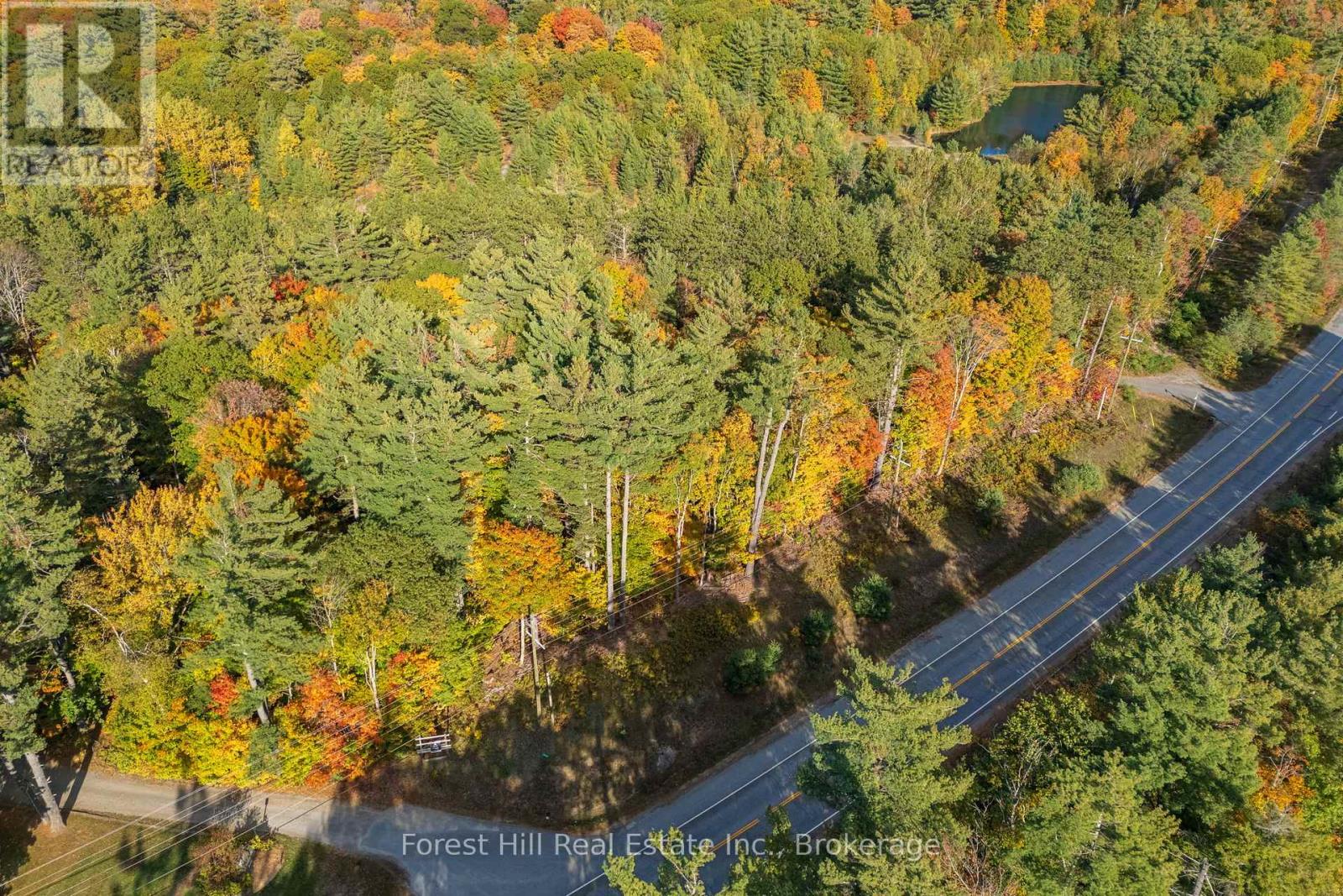 3864 Highway 118 W, Muskoka Lakes, Ontario  P0B 1J0 - Photo 22 - X13461476