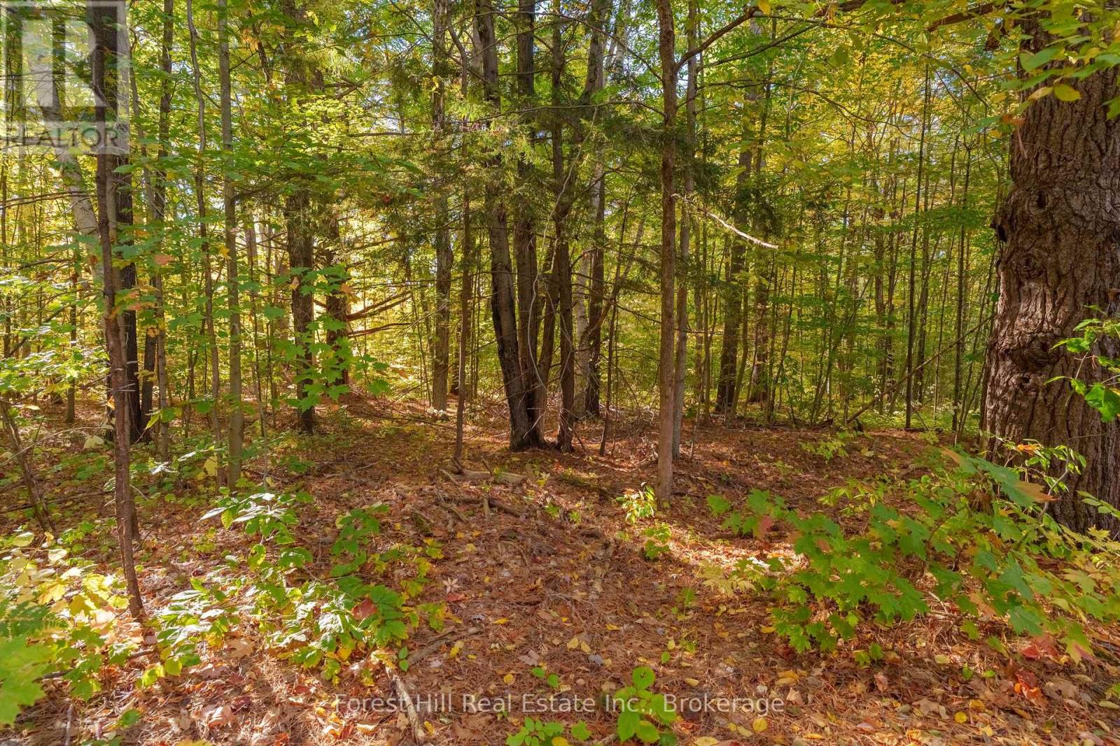 3864 Highway 118 W, Muskoka Lakes, Ontario  P0B 1J0 - Photo 33 - X13461476