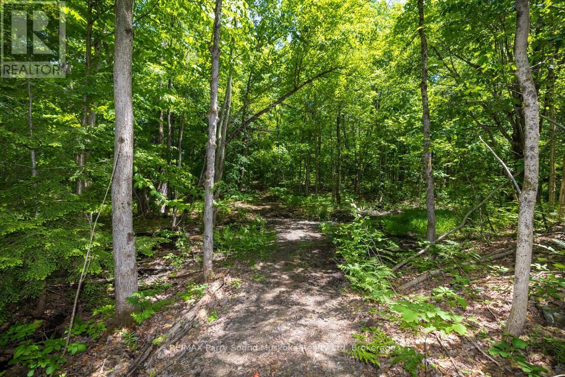 28 Clerks Road, Georgian Bay, Ontario  P0C 1H0 - Photo 41 - X13463442