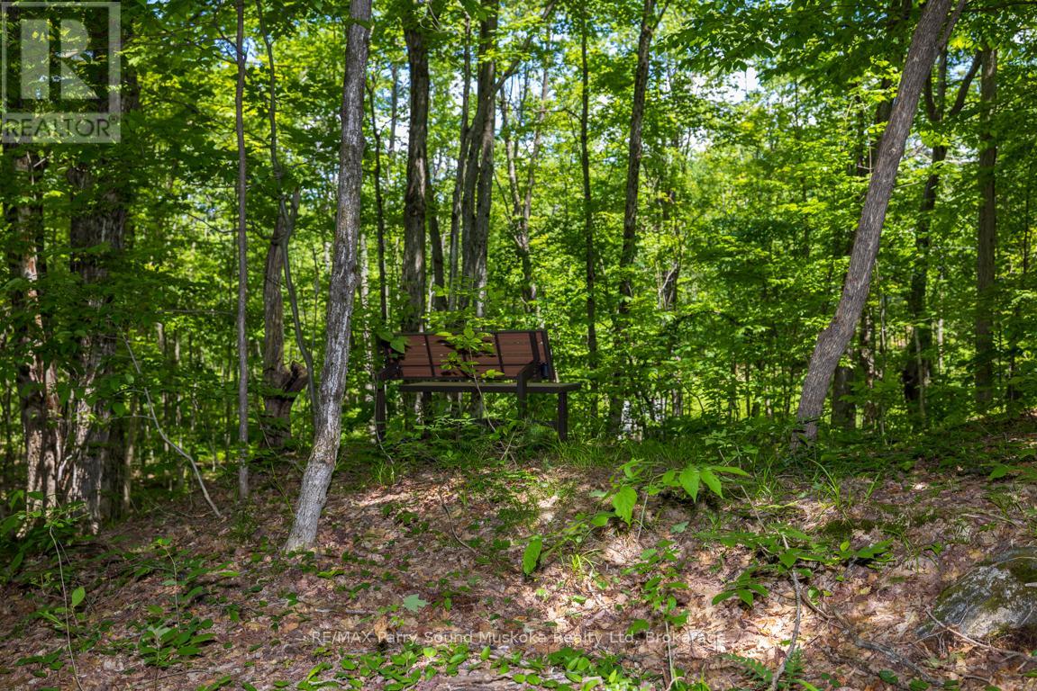 28 Clerks Road, Georgian Bay, Ontario  P0C 1H0 - Photo 43 - X13463442