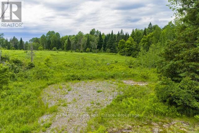 Lot 78 141 Highway, Seguin, Ontario P0C 1J0 - Photo 12 - X13471966