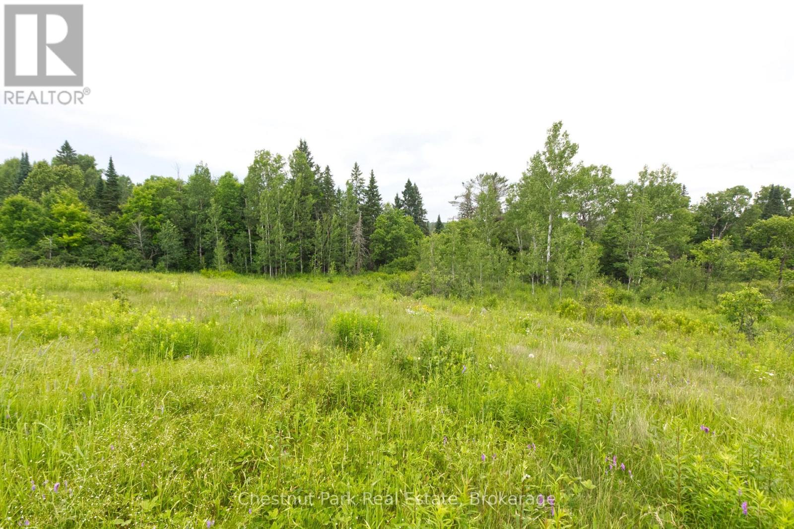 Lot 78 141 Highway, Seguin, Ontario P0C 1J0 - Photo 2 - X13471966