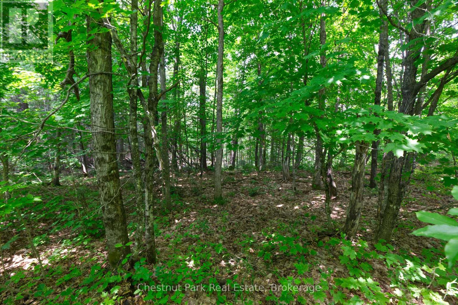 Lot 78 141 Highway, Seguin, Ontario P0C 1J0 - Photo 3 - X13471966