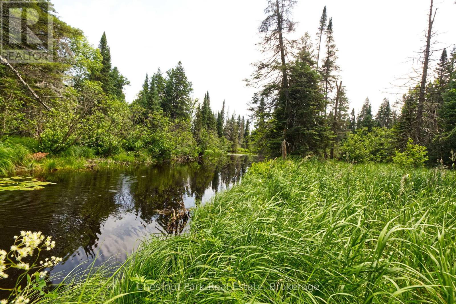 Lot 78 141 Highway, Seguin, Ontario P0C 1J0 - Photo 4 - X13471966