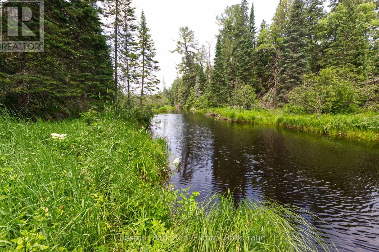 Lot 78 141 Highway, Seguin, Ontario P0C 1J0 - Photo 5 - X13471966