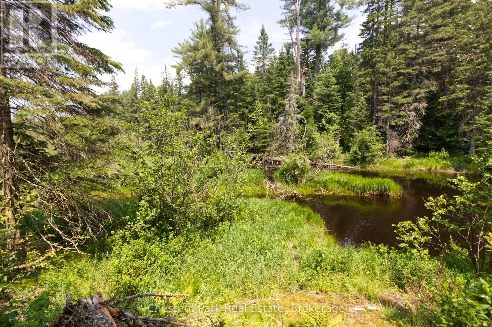 Lot 78 141 Highway, Seguin, Ontario P0C 1J0 - Photo 6 - X13471966