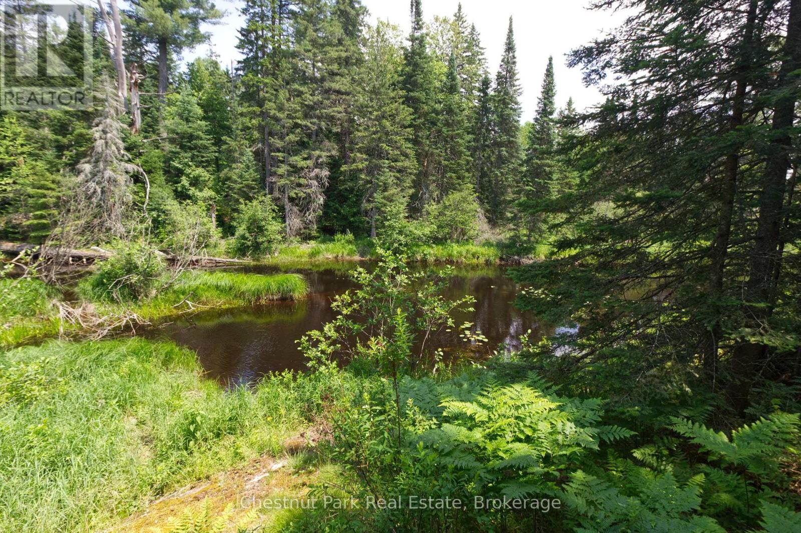 Lot 78 141 Highway, Seguin, Ontario P0C 1J0 - Photo 7 - X13471966