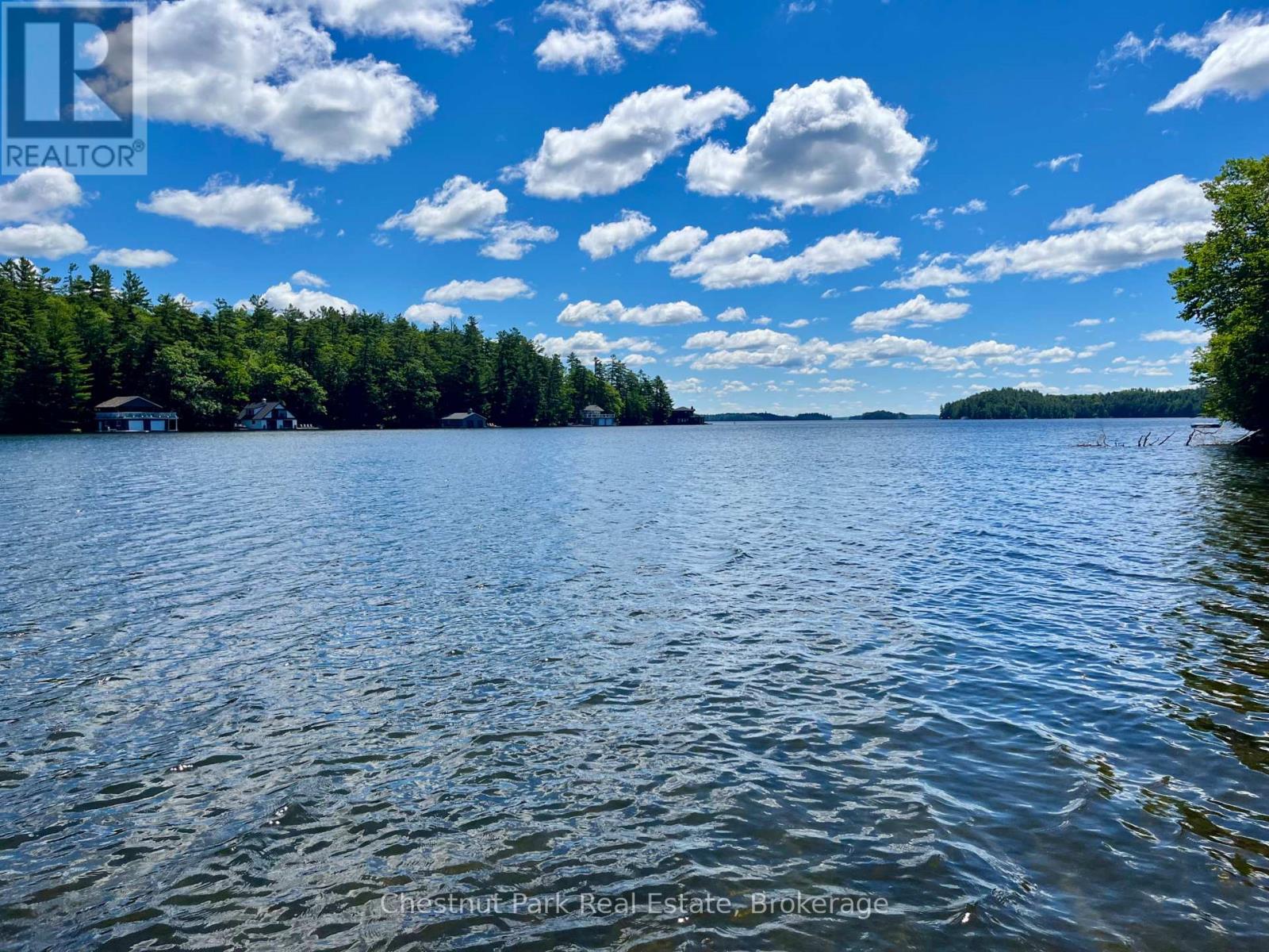 10 - 1211 Foreman Road S, Muskoka Lakes, Ontario P0B 1J0 - Photo 1 - X13480062