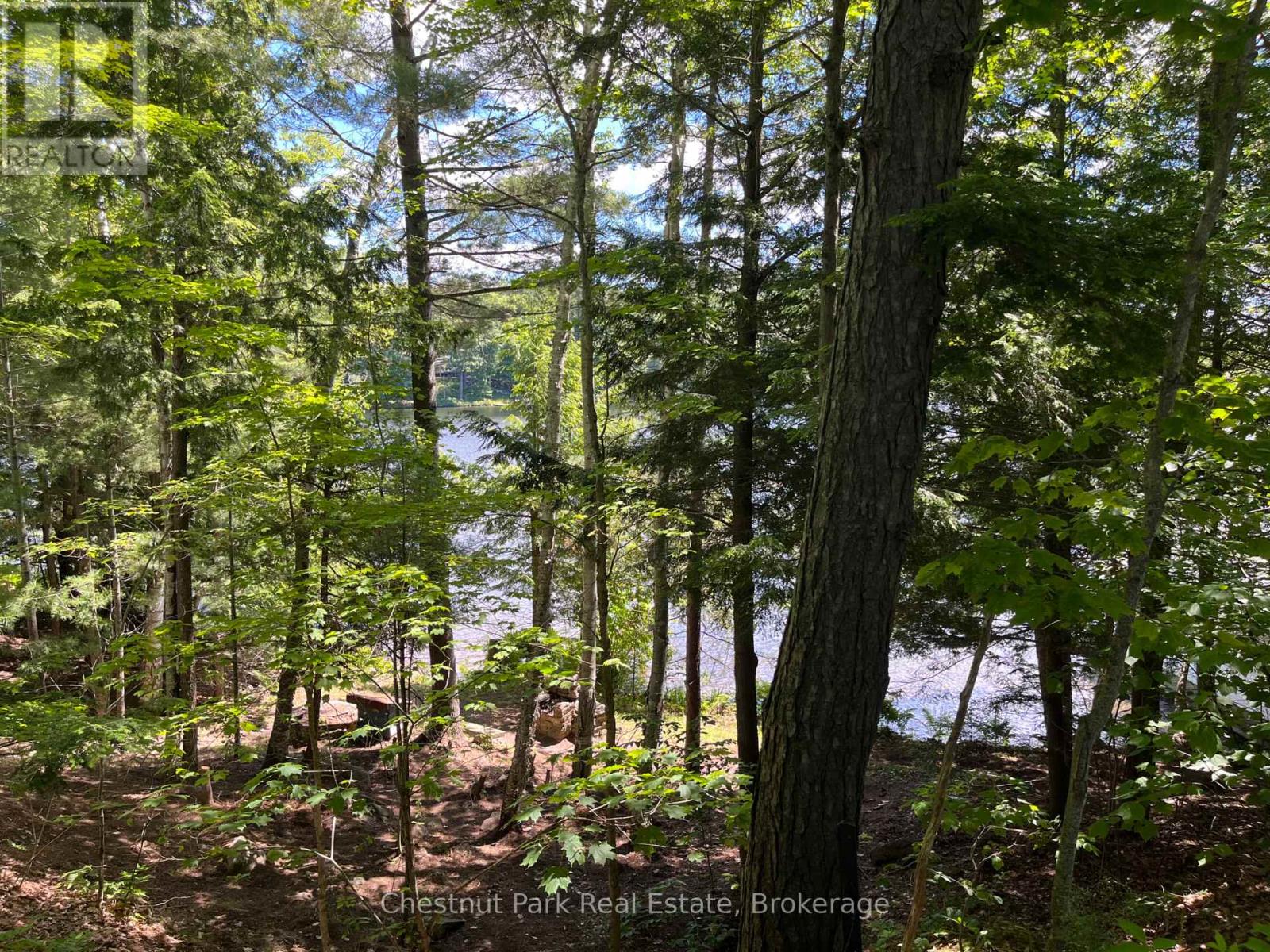 10 - 1211 Foreman Road S, Muskoka Lakes, Ontario P0B 1J0 - Photo 21 - X13480062