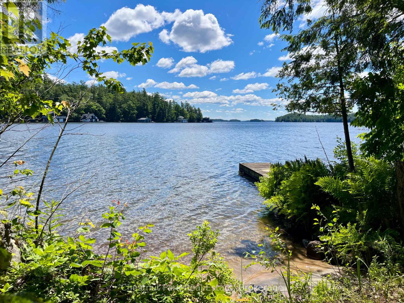 10 - 1211 Foreman Road S, Muskoka Lakes, Ontario P0B 1J0 - Photo 4 - X13480062