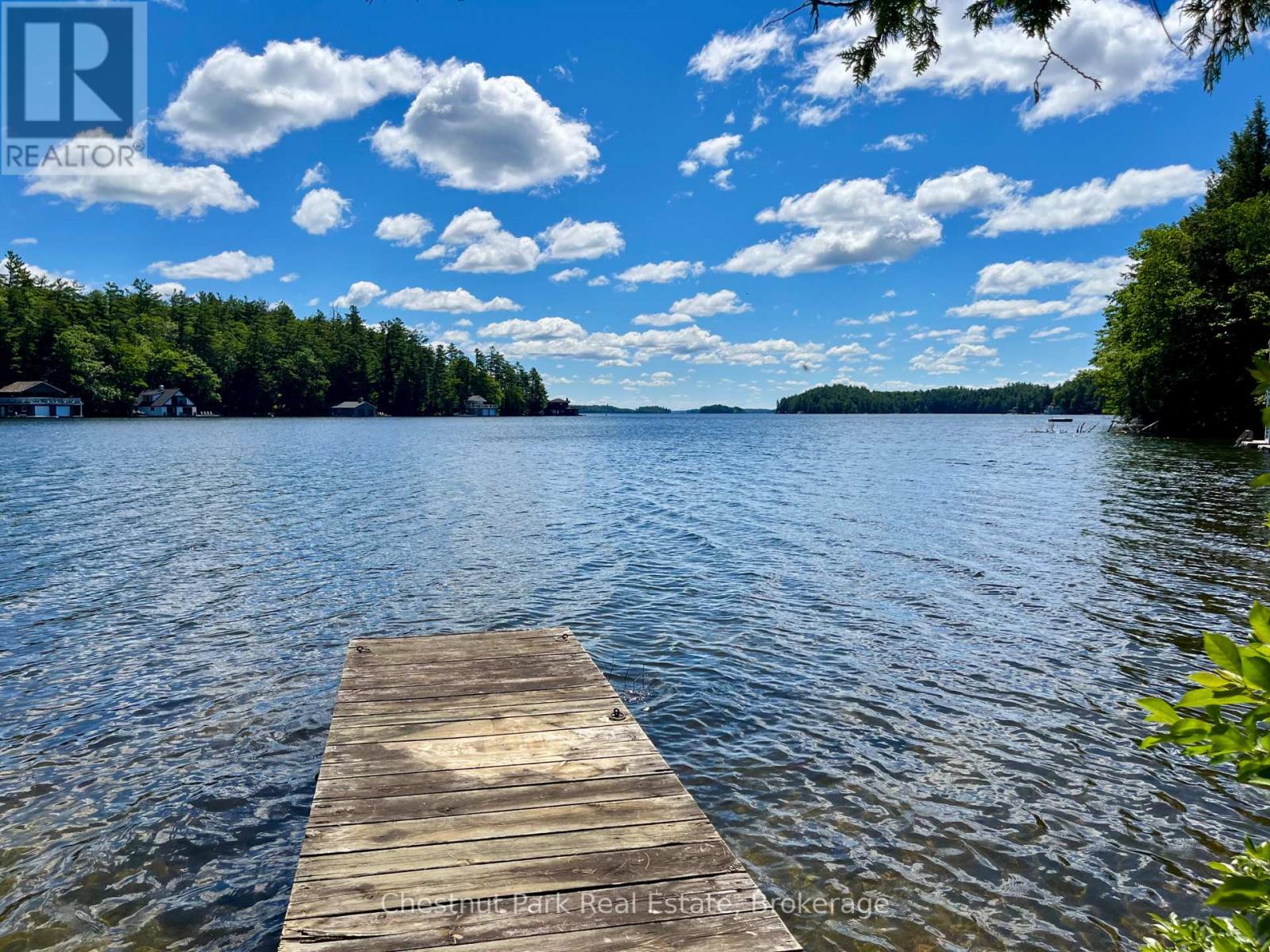 10 - 1211 Foreman Road S, Muskoka Lakes, Ontario P0B 1J0 - Photo 5 - X13480062
