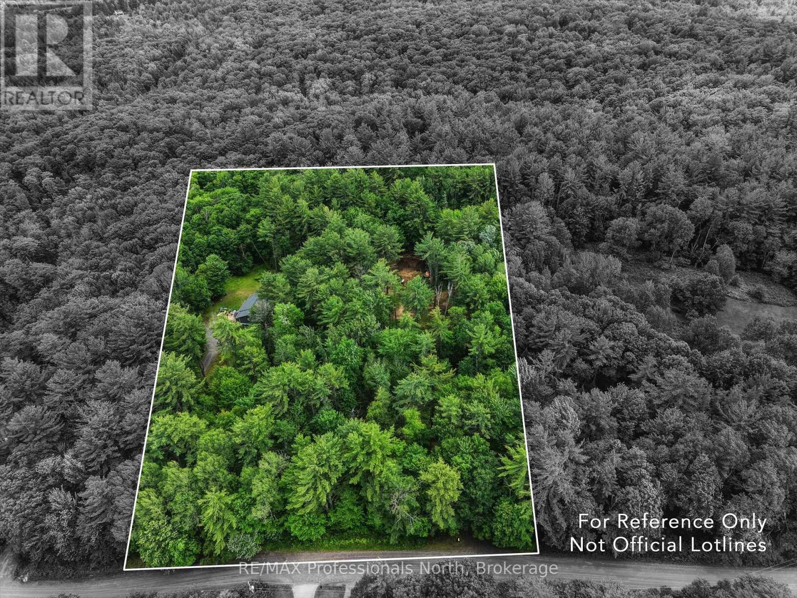 81 Watson Lane, Huntsville, Ontario  P0B 1M0 - Photo 2 - X13480268
